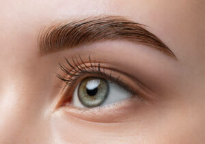 Eyebrow Lamination Treatment