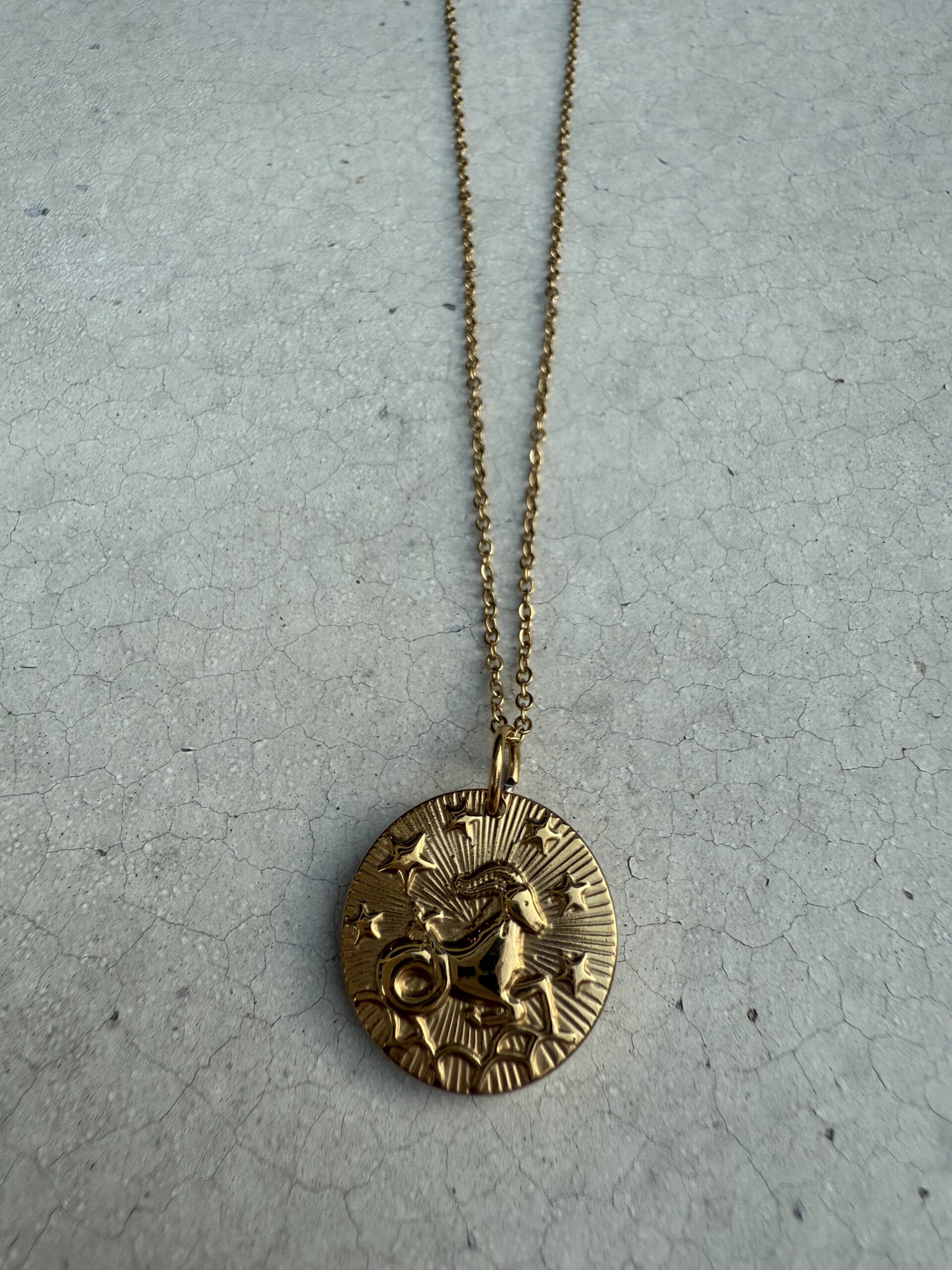 STAR SIGN 18K GOLD STAINLESS STEEL ZODIAC NECKLACE - 46CM - CAPRICORN