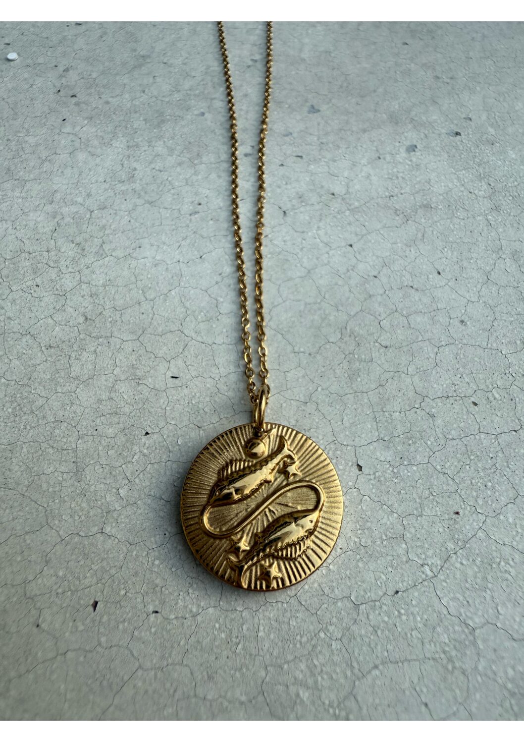 STAR SIGN 18K GOLD STAINLESS STEEL ZODIAC NECKLACE - 46CM - PISCES